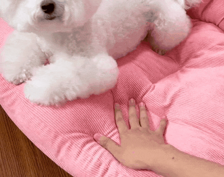 ruan1721716804706.gif