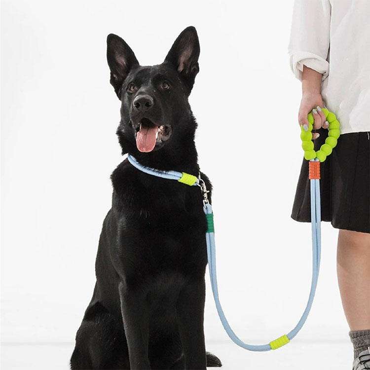 犬の夏の熱中症対策：水分補給と適切なハーネスの選び方-Giipet