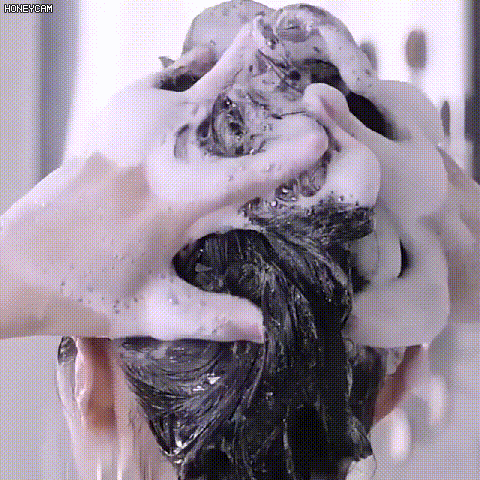 1_24.gif