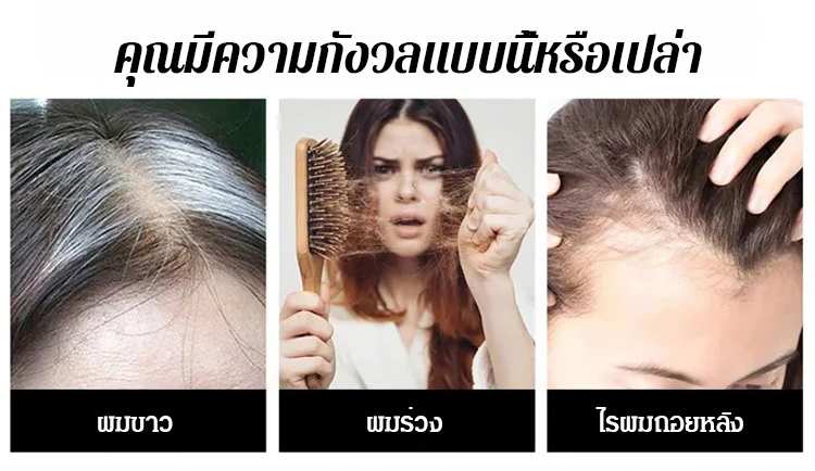 翻译_05.jpg