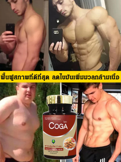 เห็ดหลินจือหอยนางรมและถั่งเช่าอัดเม็ด