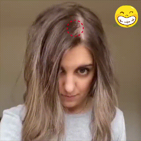 1_03.gif