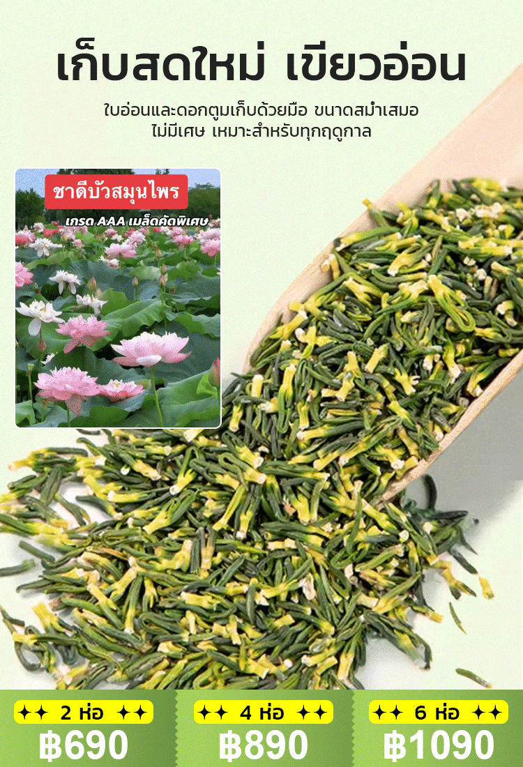 [ลดความดันโลหิต น้ำตาลและไขมันในเลือด] ชาดีบัวคุณภาพพรีเมียม