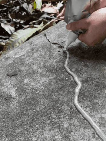 Honeycam 2024-07-15 12-44-06.gif
