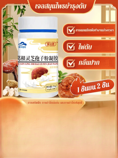 ยาเม็ดสมุนไพรป้องกันตับ