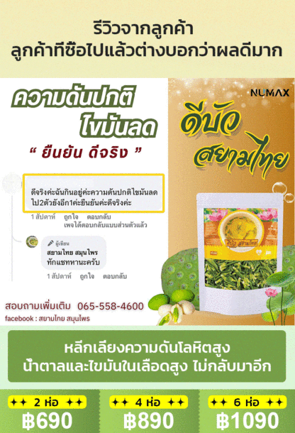 [ลดความดันโลหิต น้ำตาลและไขมันในเลือด] ชาดีบัวคุณภาพพรีเมียม