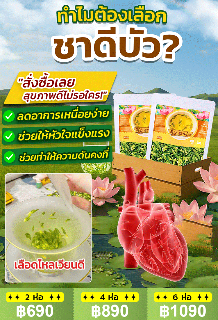 [ลดความดันโลหิต น้ำตาลและไขมันในเลือด] ชาดีบัวคุณภาพพรีเมียม