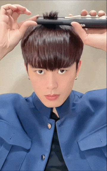 D1.gif