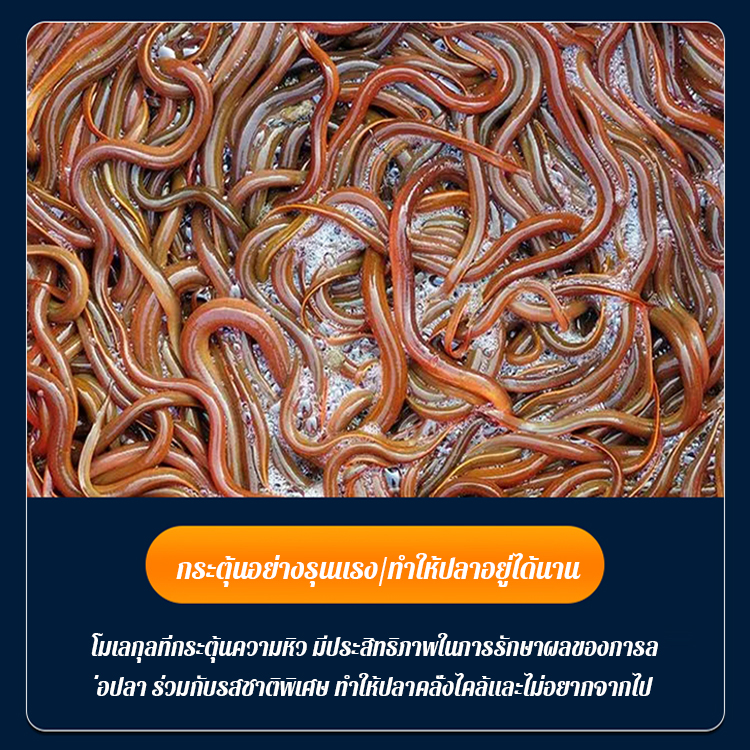 เหยื่อเม็ดรวมสำหรับตกปลาไหลและปลาไหลแบบพกพา
