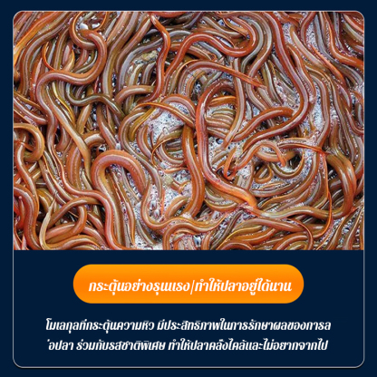 เหยื่อเม็ดรวมสำหรับตกปลาไหลและปลาไหลแบบพกพา