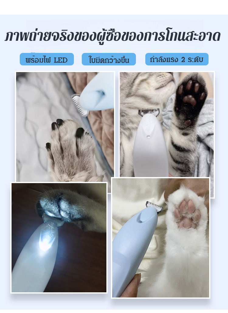 翻译件_09.jpg