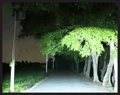 1_16.gif