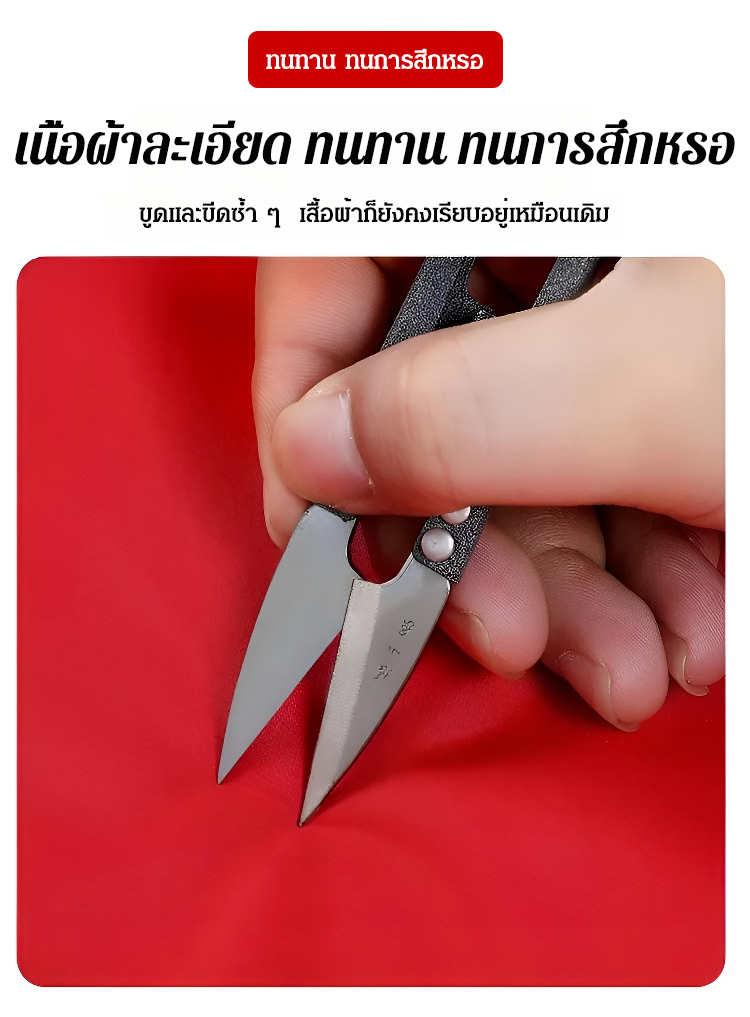 0_26.jpg