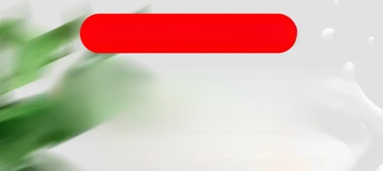 翻译件-SL-【长效防腐】铁锈转化剂-1176680-拷贝_05.jpg