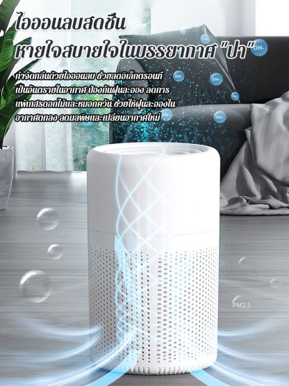 เครื่องฟอกอากาศกำจัดกลิ่นและฟอร์มาลดีไฮด์ด้วยประจุลบ