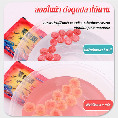 เหยื่อเม็ดรวมสำหรับตกปลาไหลและปลาไหลแบบพกพา