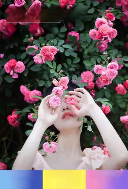 【ดอกบานตลอดปี】เมล็ดพันธุ์กุหลาบเลี้อยสีสัน