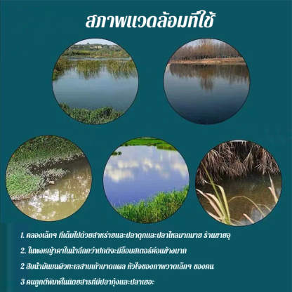 เหยื่อเม็ดรวมสำหรับตกปลาไหลและปลาไหลแบบพกพา