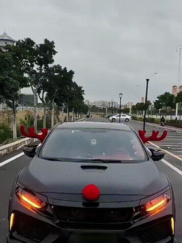 xfdhdf.gif