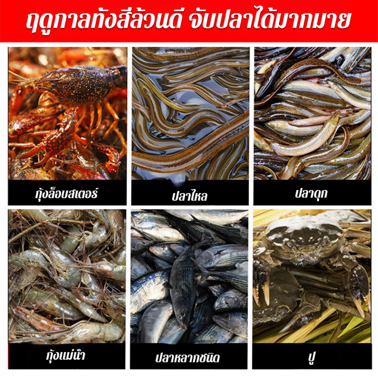 เหยื่อเม็ดรวมสำหรับตกปลาไหลและปลาไหลแบบพกพา