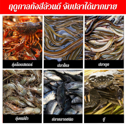 เหยื่อเม็ดรวมสำหรับตกปลาไหลและปลาไหลแบบพกพา