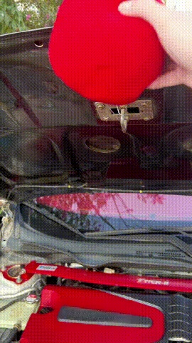 下载 (2).gif