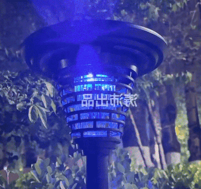 123_11.gif