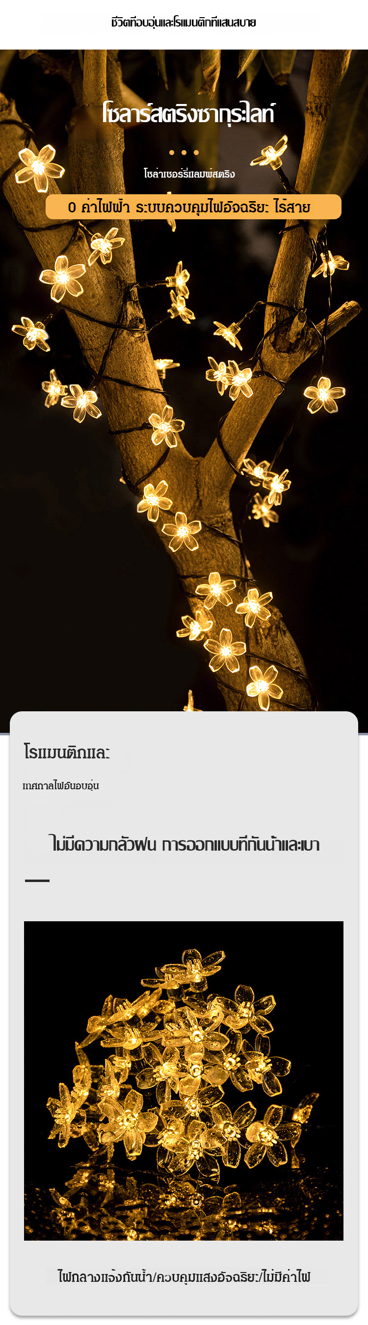 1_03.gif