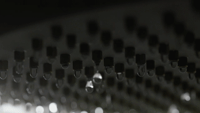 12.gif