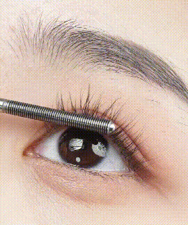 04.gif