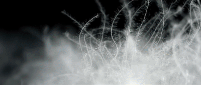 11.gif
