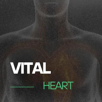 Cardiovascular Risk