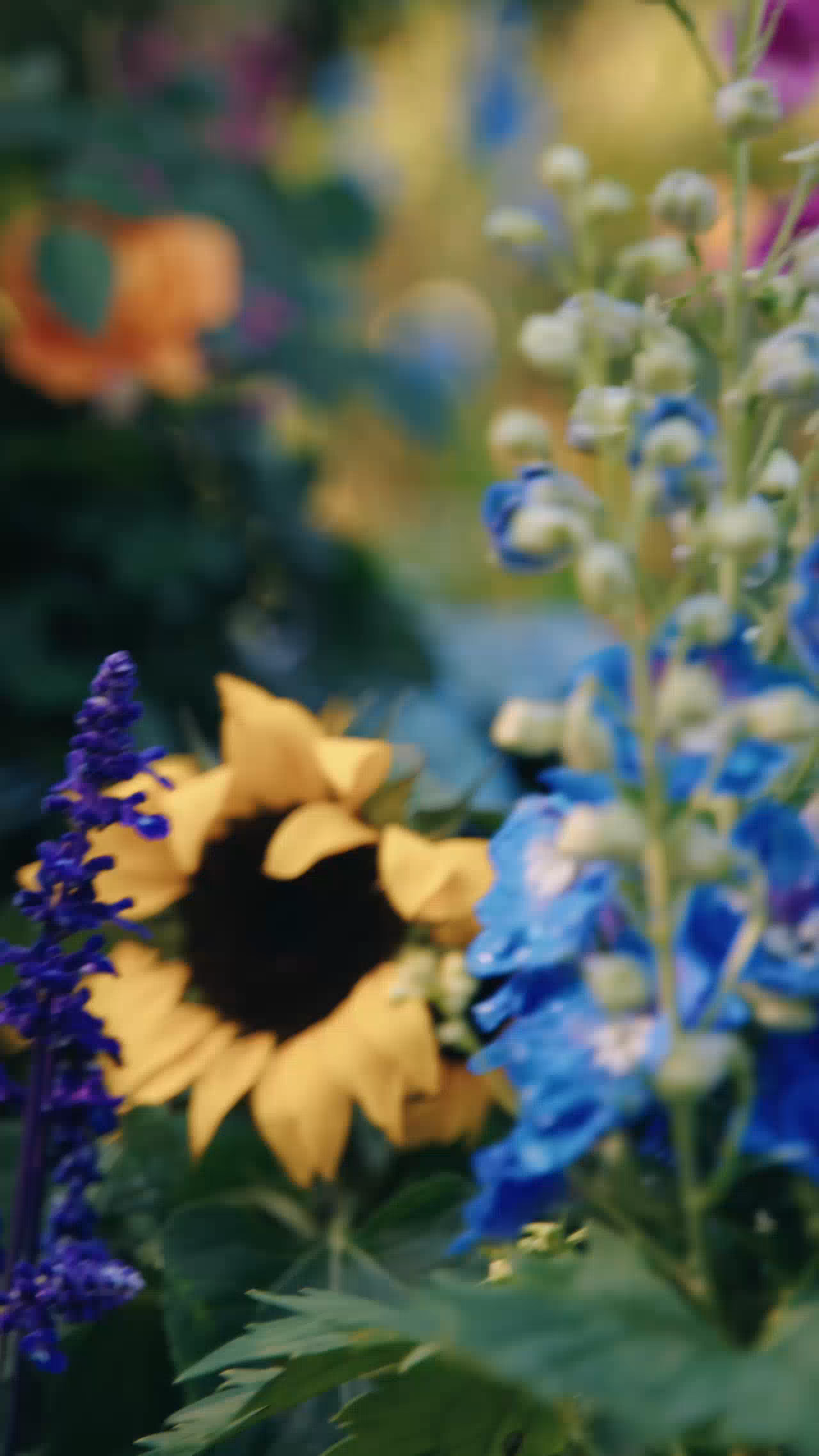 WOMEN'S EXPLORER DESERT ANKLE BOOTS