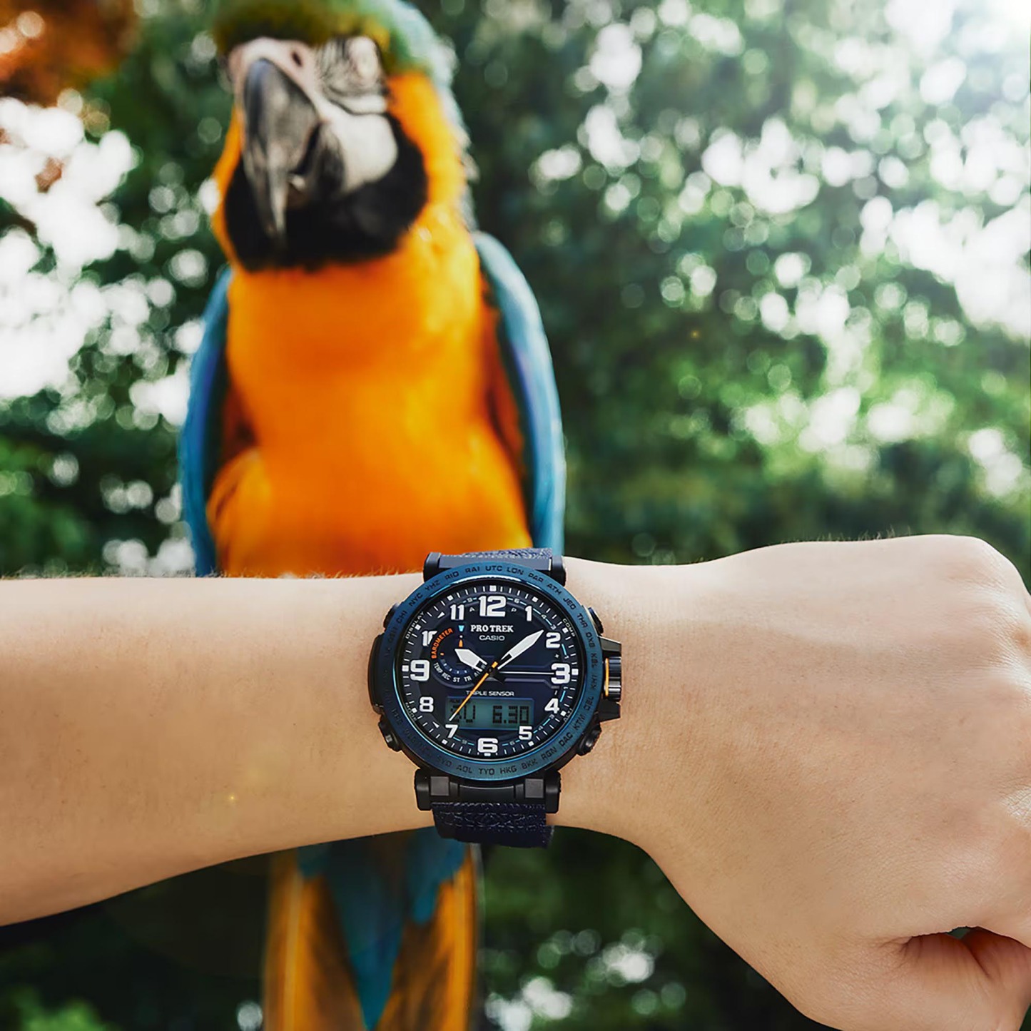 Casio PROTREK PRG-601YB-2 Climber Line Triple Sensor Watch Blue Cloth Band ozdigitalwatch.com.au
