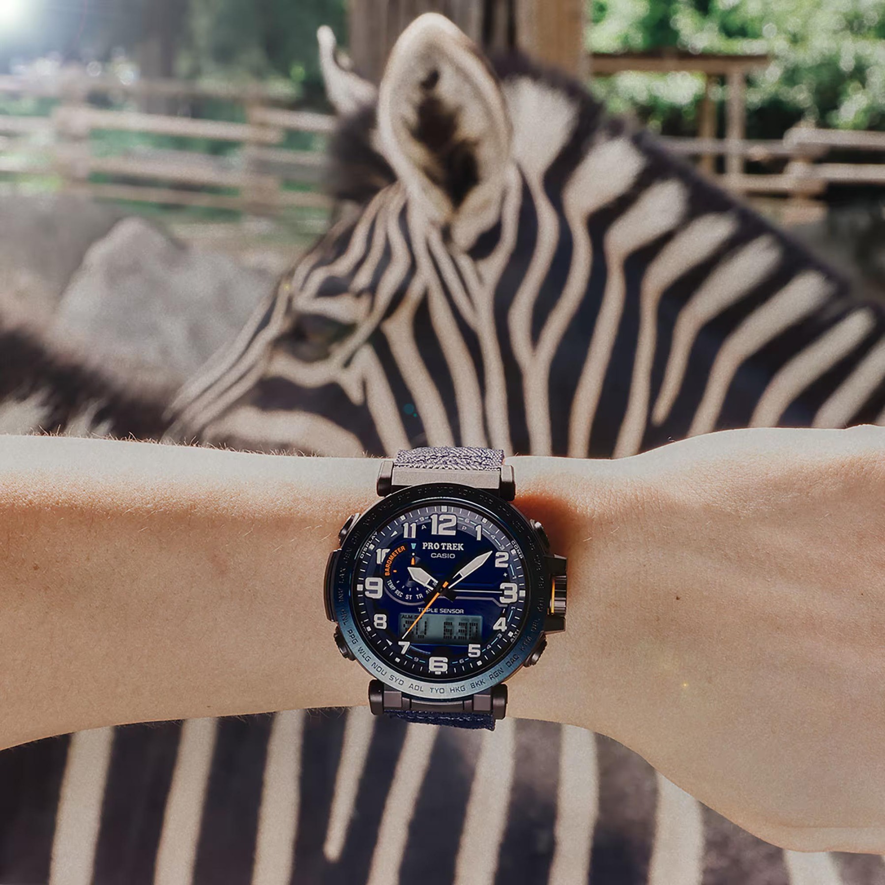 Casio PROTREK PRG-601YB-2 Climber Line Triple Sensor Watch Blue Cloth Band ozdigitalwatch.com.au
