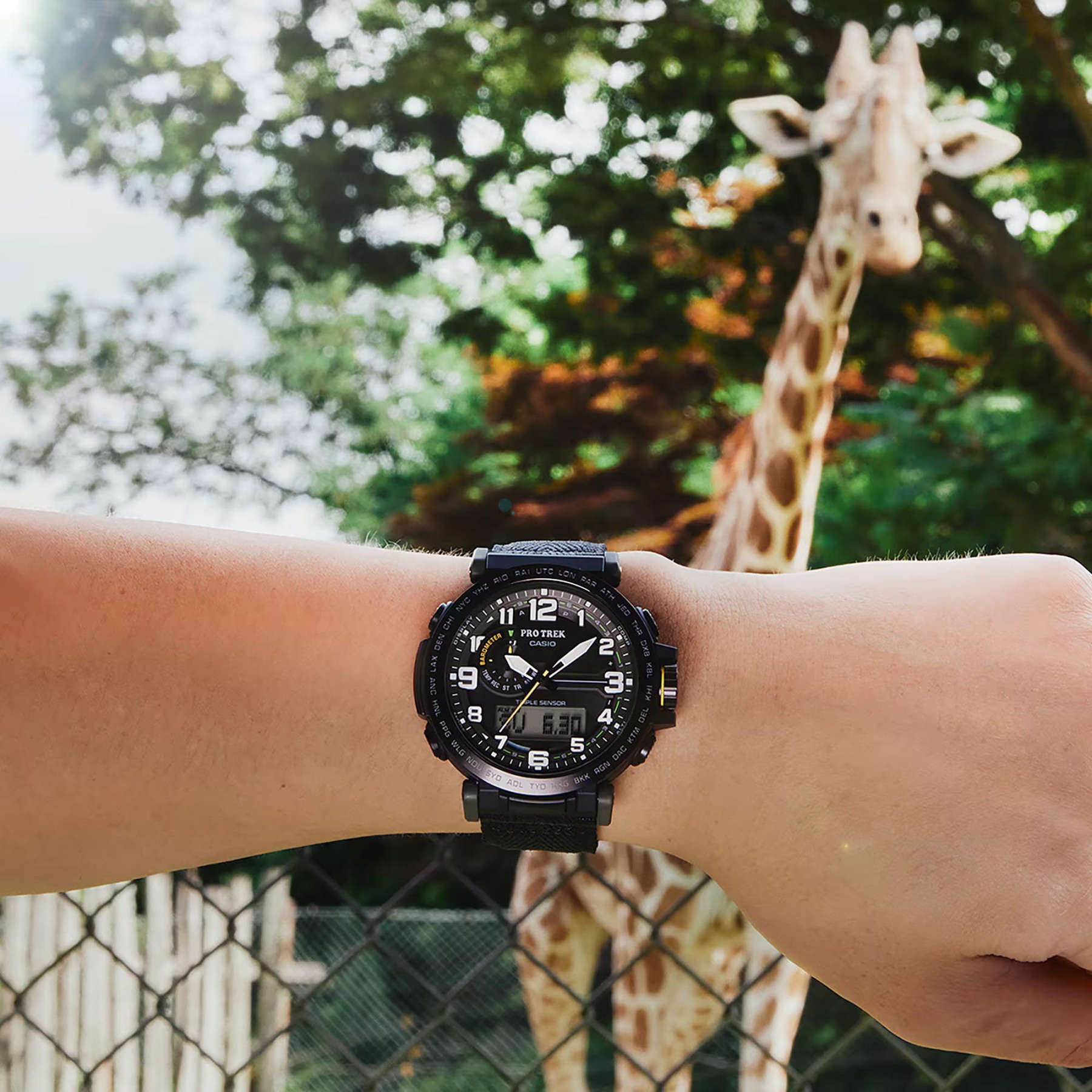Casio PROTREK PRG-601YB-3 Climber Line Triple Sensor Watch Black Cloth Band ozdigitalwatch.com.au