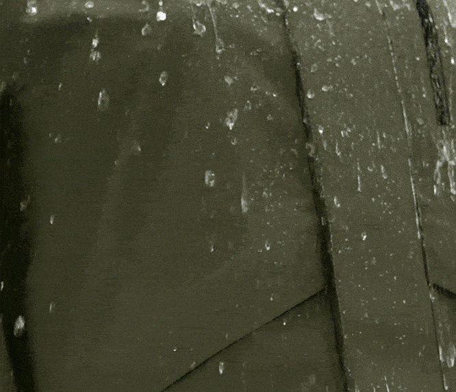 0.gif