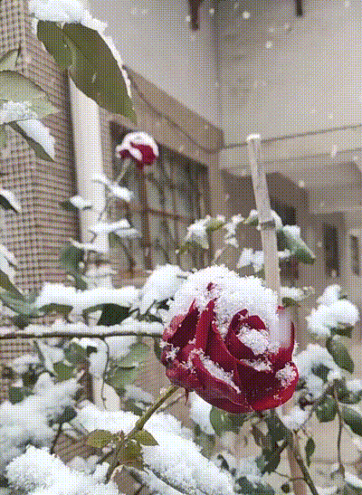 20240814_172423_415.gif