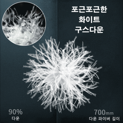 남성 패딩 조거 팬츠 상하 세트
