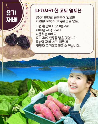 【저당】달콤하고 부드러운 크리스탈 자색고구마/ 고구마 말랭이