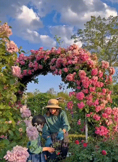 20240814_172423_405.gif