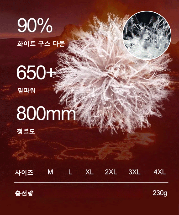 남녀 공용 보온 후드 다운 재킷