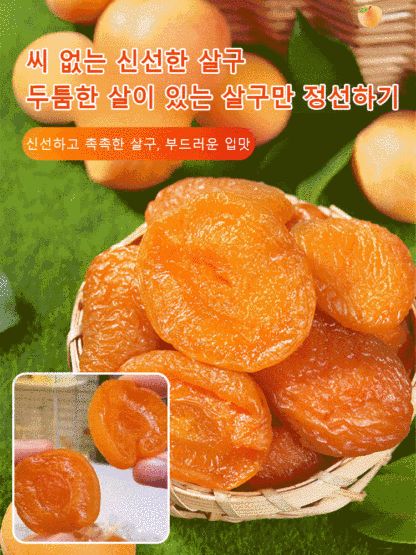 [0설탕 0첨가] 씨 없는 유기농 말린 홍살구