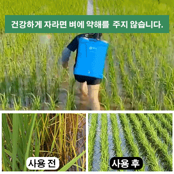 [+13,900원 3병 더💯]잡초제거 강력 제초제