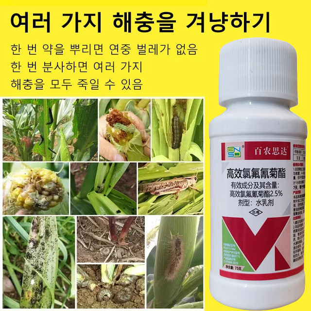 해충 적수 베타-사이플루트린 야채 과수 살충제