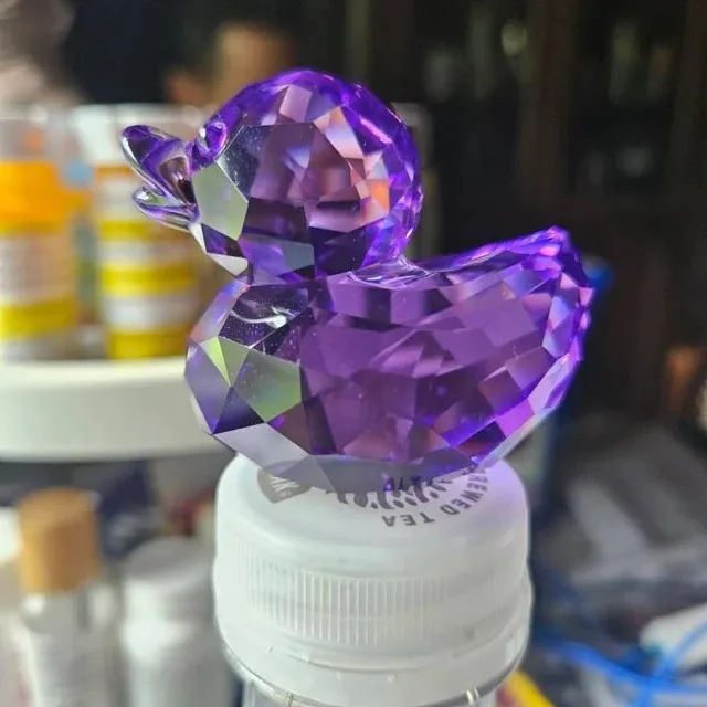 ✨Bling-Bling Resin Crystal Duck