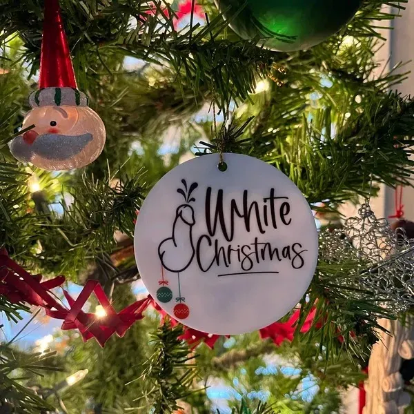 🤣Funny Adult Christmas Ornament🎄