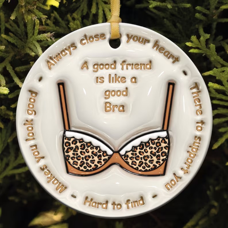 🔥Hot Sale 50% Off🔥👭Friendship Bra Ornament👙