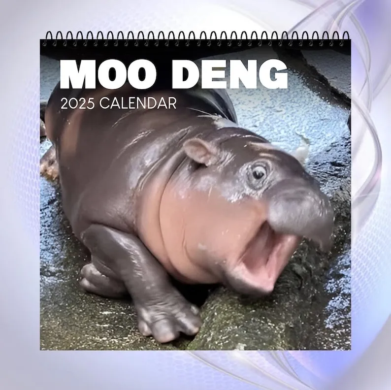 🔥Moo Deng Calendar | Trendy Viral Christmas Gift