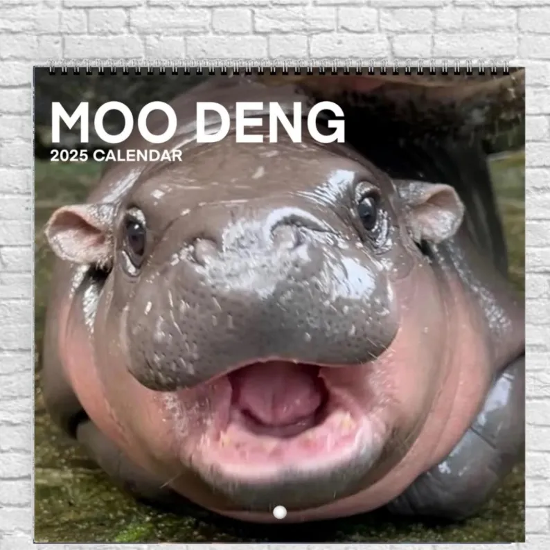 🔥Moo Deng Calendar | Trendy Viral Christmas Gift